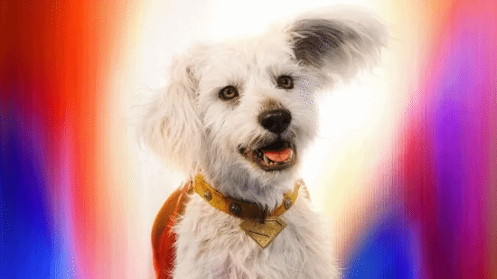 《超人》电影因超狗被虐场景引发争议