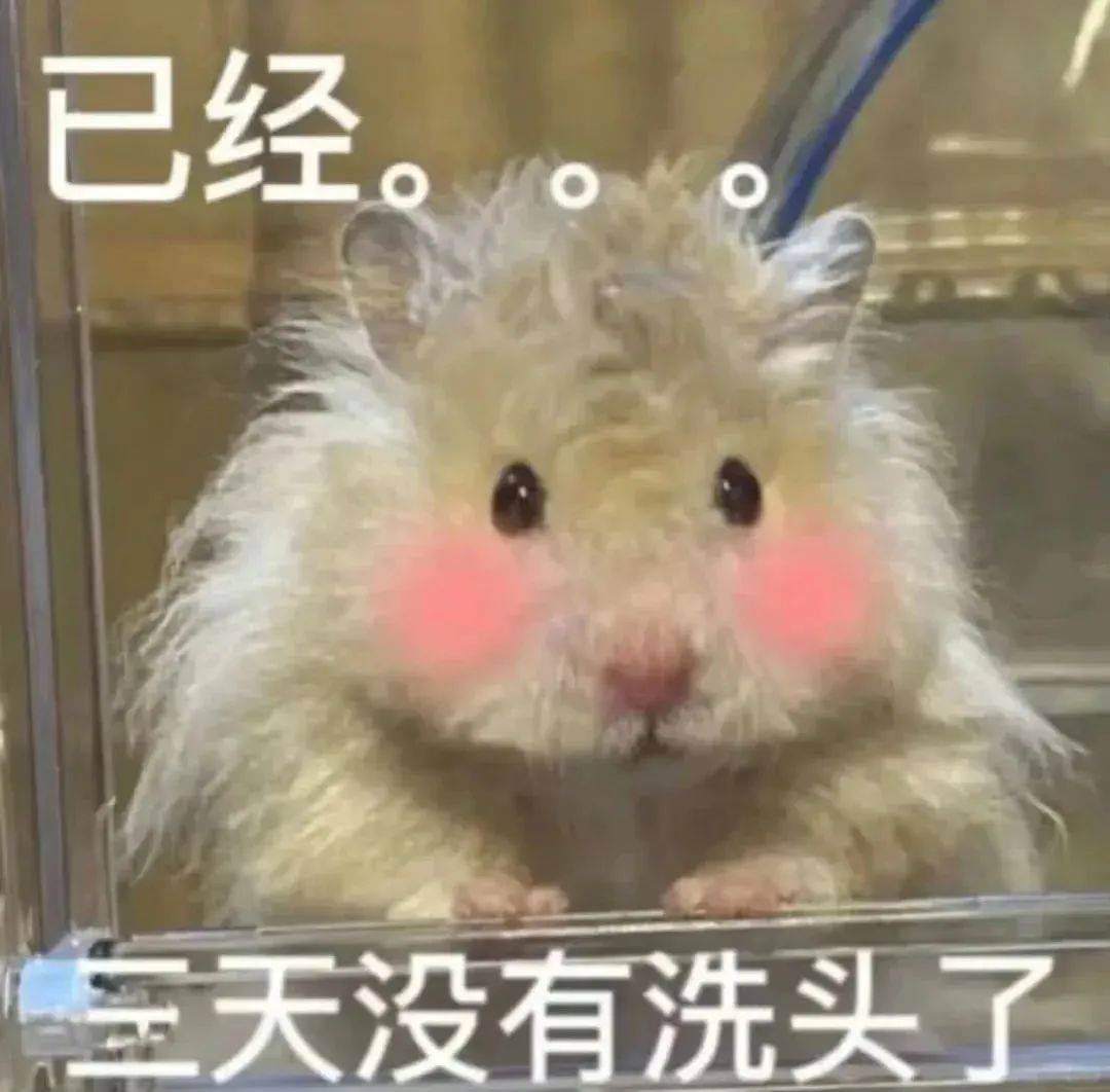 早or晚，何时洗伤害大？洗头时间暗藏玄机