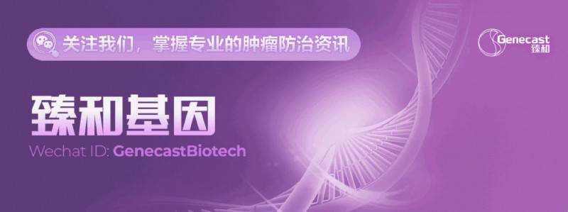 肠癌发病机制：多因素驱动的恶性转化网络