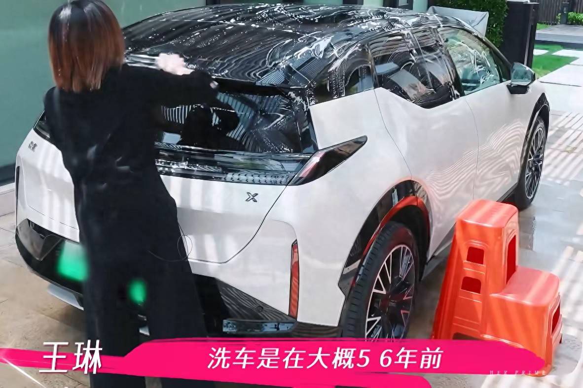 原创            王琳的独居生活引发网友同情，被儿子扇巴掌，遭儿子嫌弃，太卑微