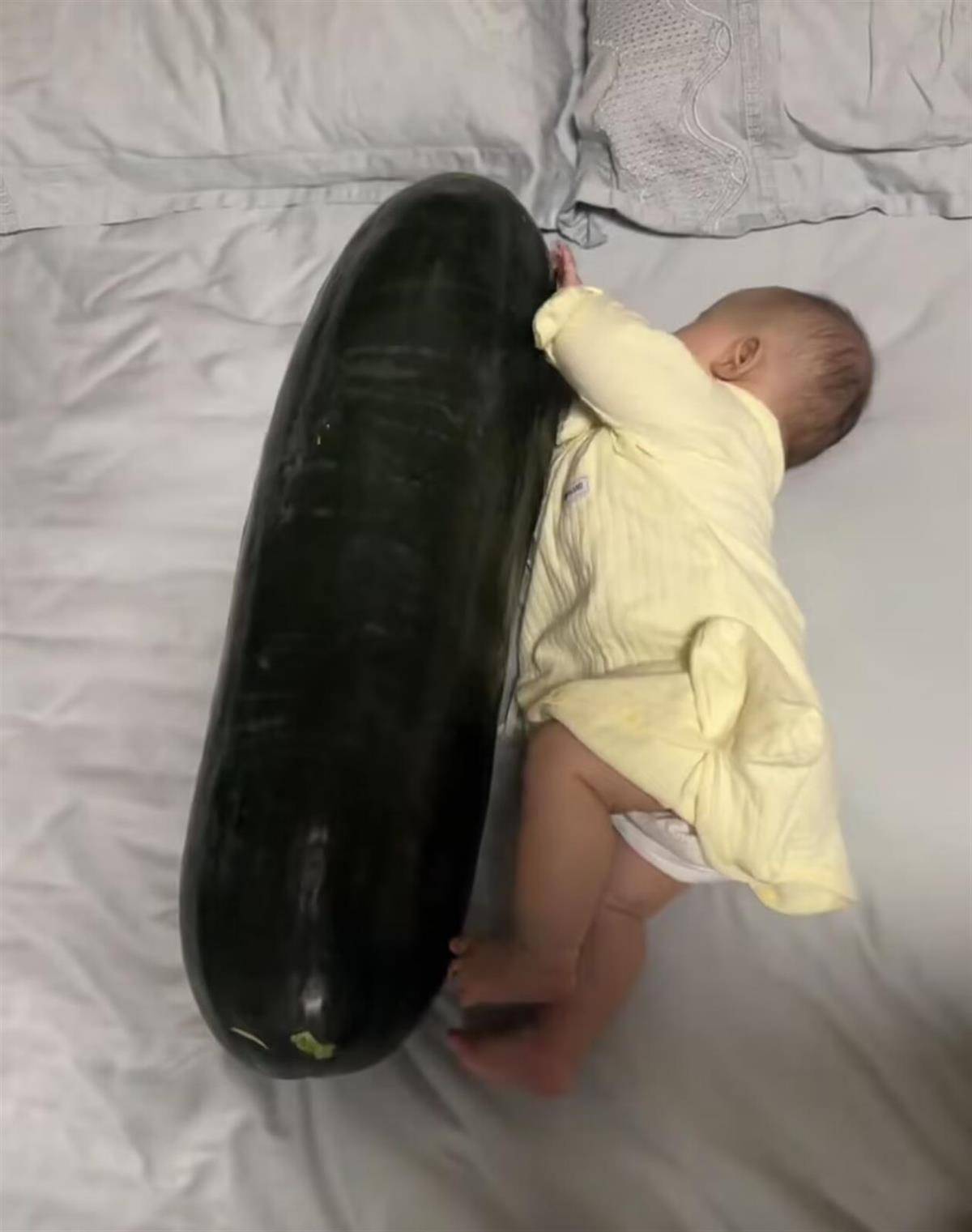 男子在深圳购买28斤重的冬瓜带回香港，给3个月大的女儿当避暑玩具