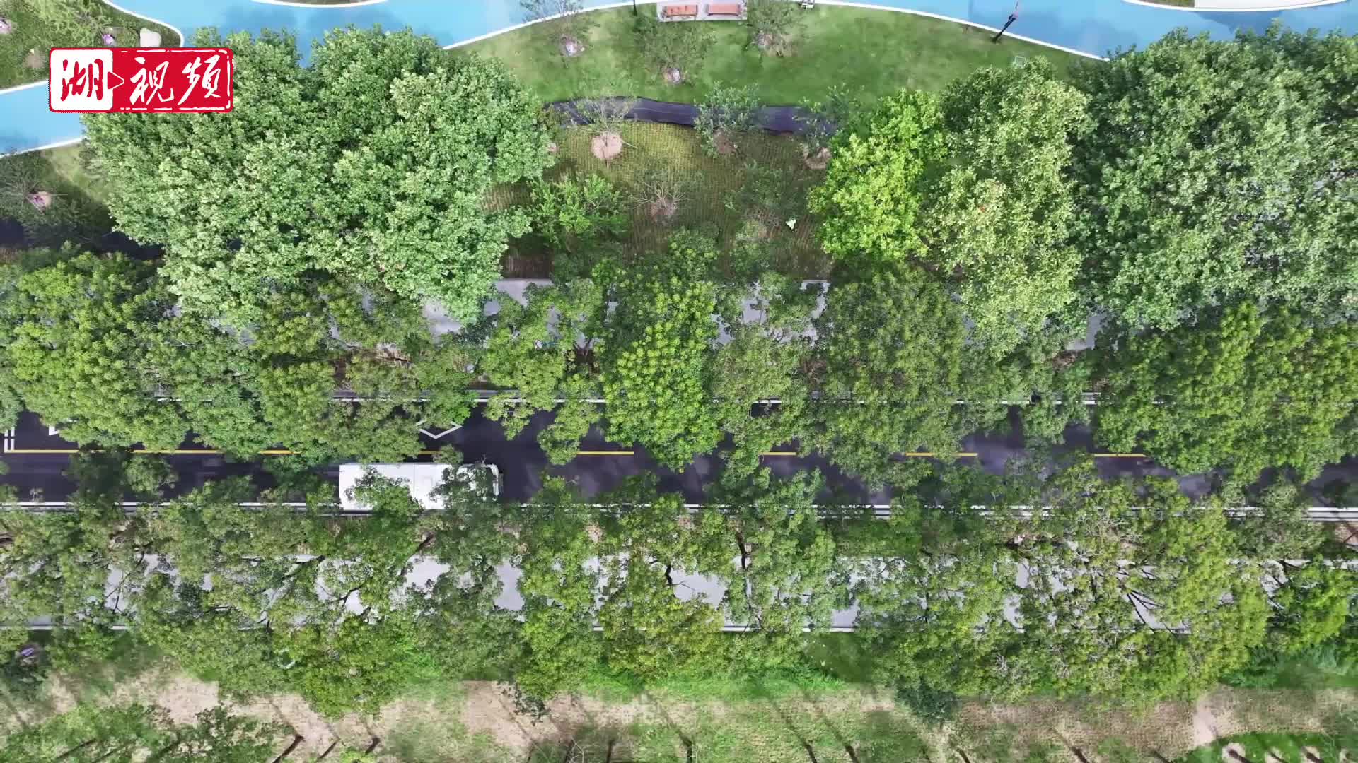 武汉这条林荫路绿到心坎里，走一步美一步