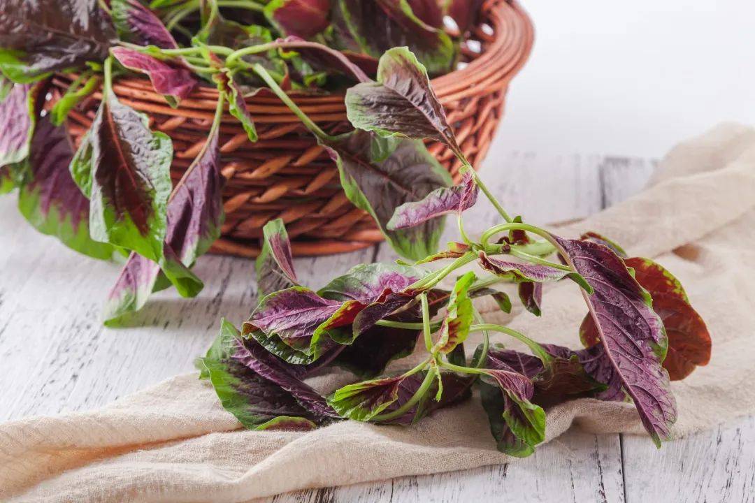 科普时间｜补钙还能抗衰老！这种“平价护眼菜”，建议你多吃