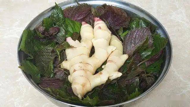 原创            空调病救急水！紫苏遇上它！散寒祛湿发透汗，头不晕身不僵