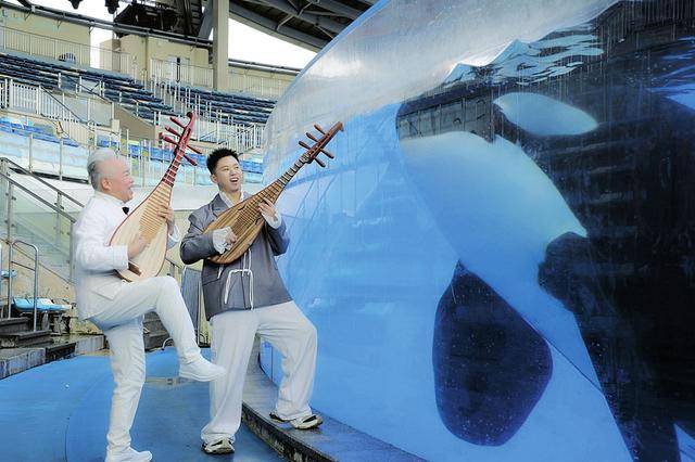 琵琶声动，鲸歌相和 山西后生揭秘“对鲸弹琴”互动奇缘