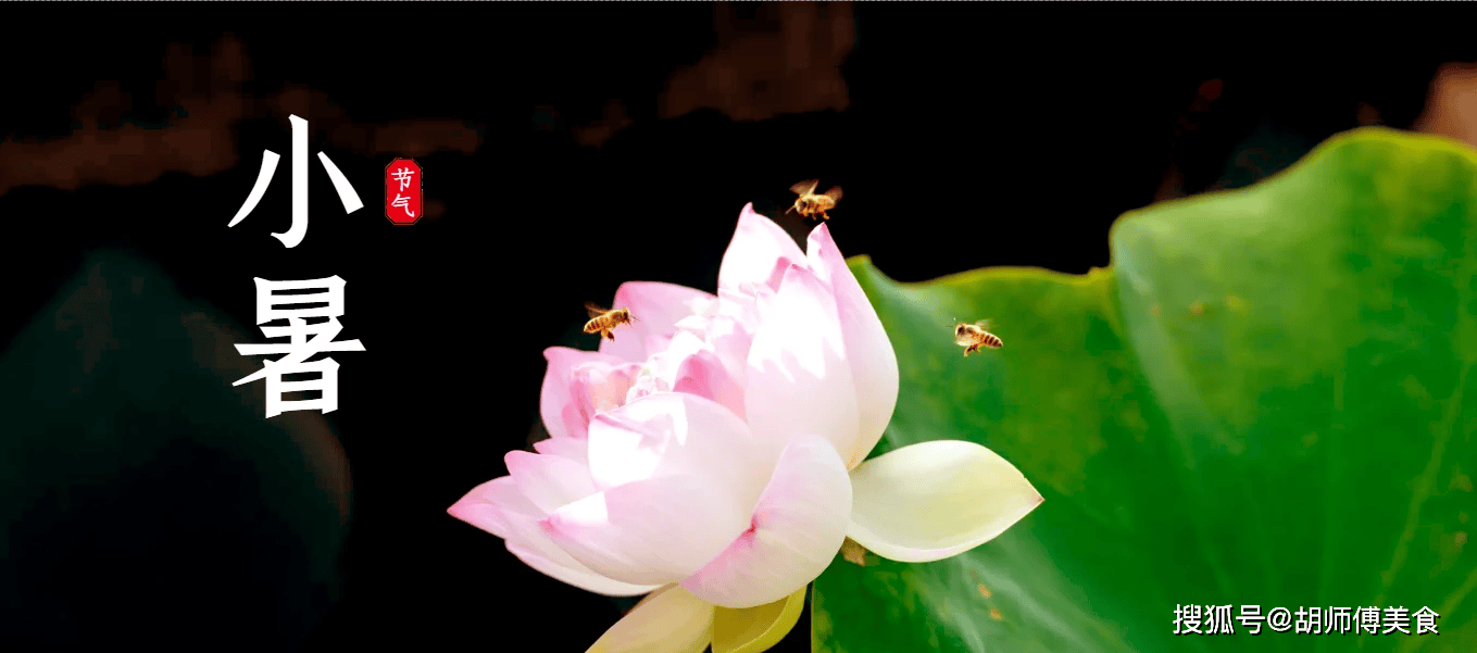 明天小暑，建议大家：少吃西瓜绿豆，多吃这4样，阳气满满过三伏