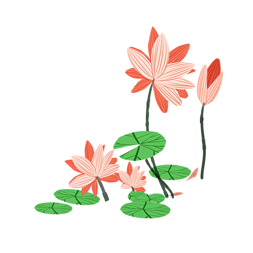 省中医美6‖二十四节气养生茶全攻略