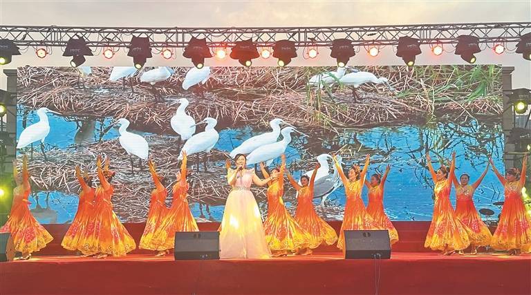 社区艺术节精彩启幕