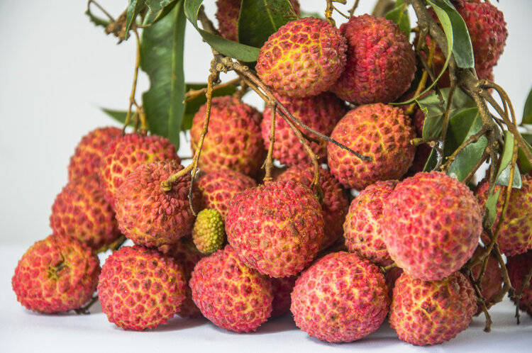 原创            荔枝是血脂“催化剂”？医生建议：若想血脂正常，3种水果少吃