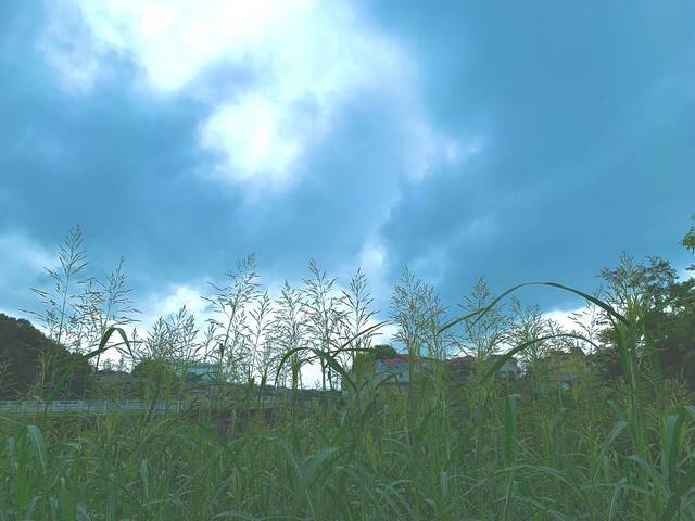 原创            为什么，永远不要和男人每天都聊天，就算你真的很想他！