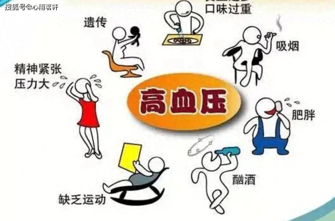 原创            三个代茶饮：罗布麻叶，钩藤，夏枯草