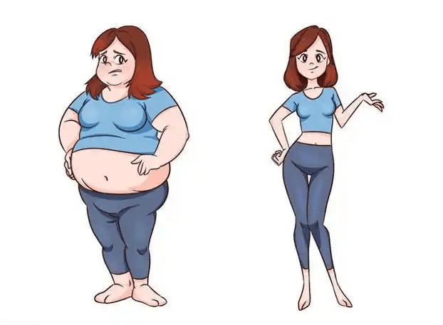 江西清业营养师揭秘减重平台期：为何它如影随形?