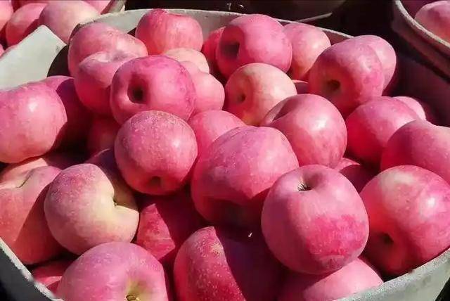 苹果是胆固醇“克星”？医生告诫：胆固醇高的人，可常吃3种水果