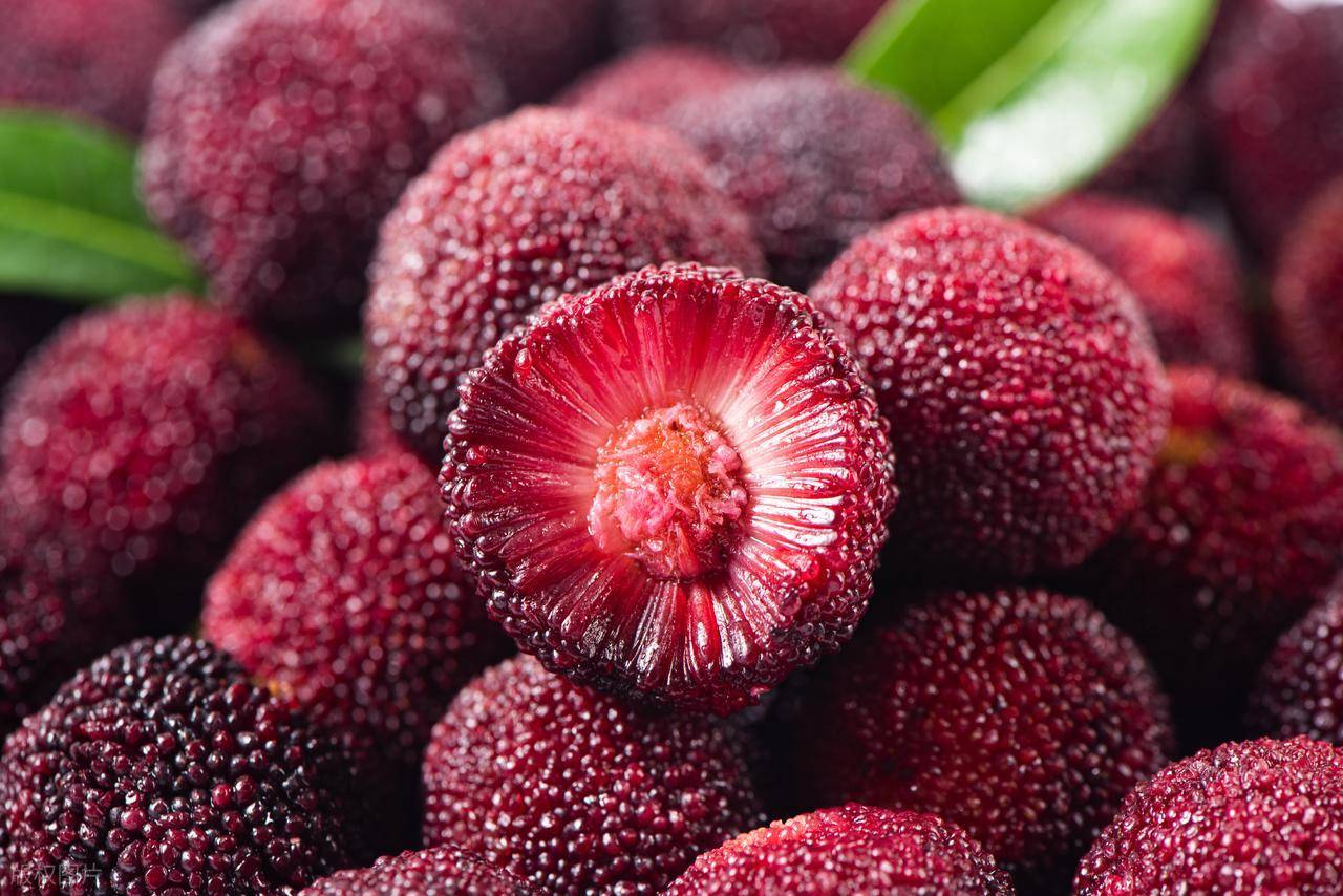 杨梅七千载：河姆渡苦豆如何蜕变成江南玛瑙