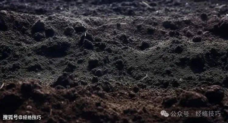 原创            赤脚踏地五分钟，夏日身心更轻松