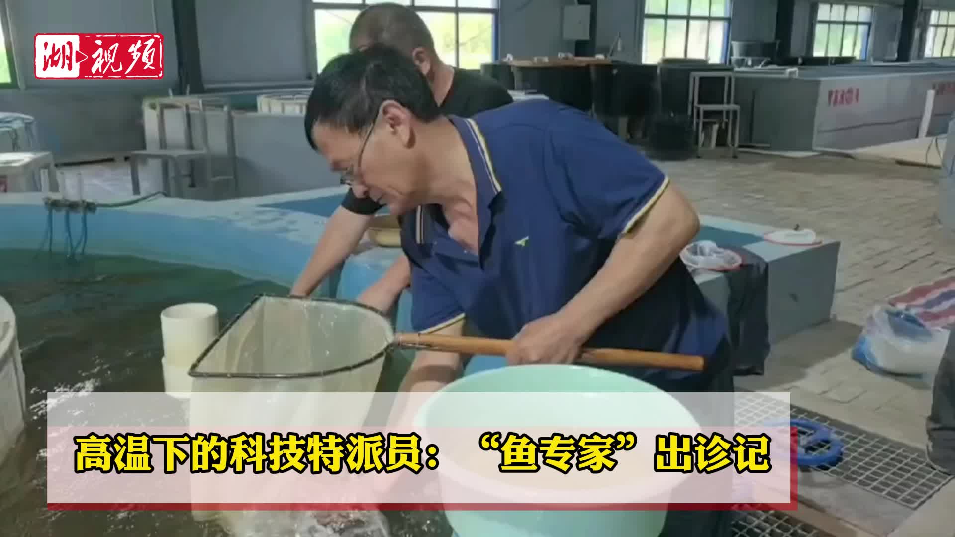 高温下的科技特派员：“鱼专家”丹江口出诊记