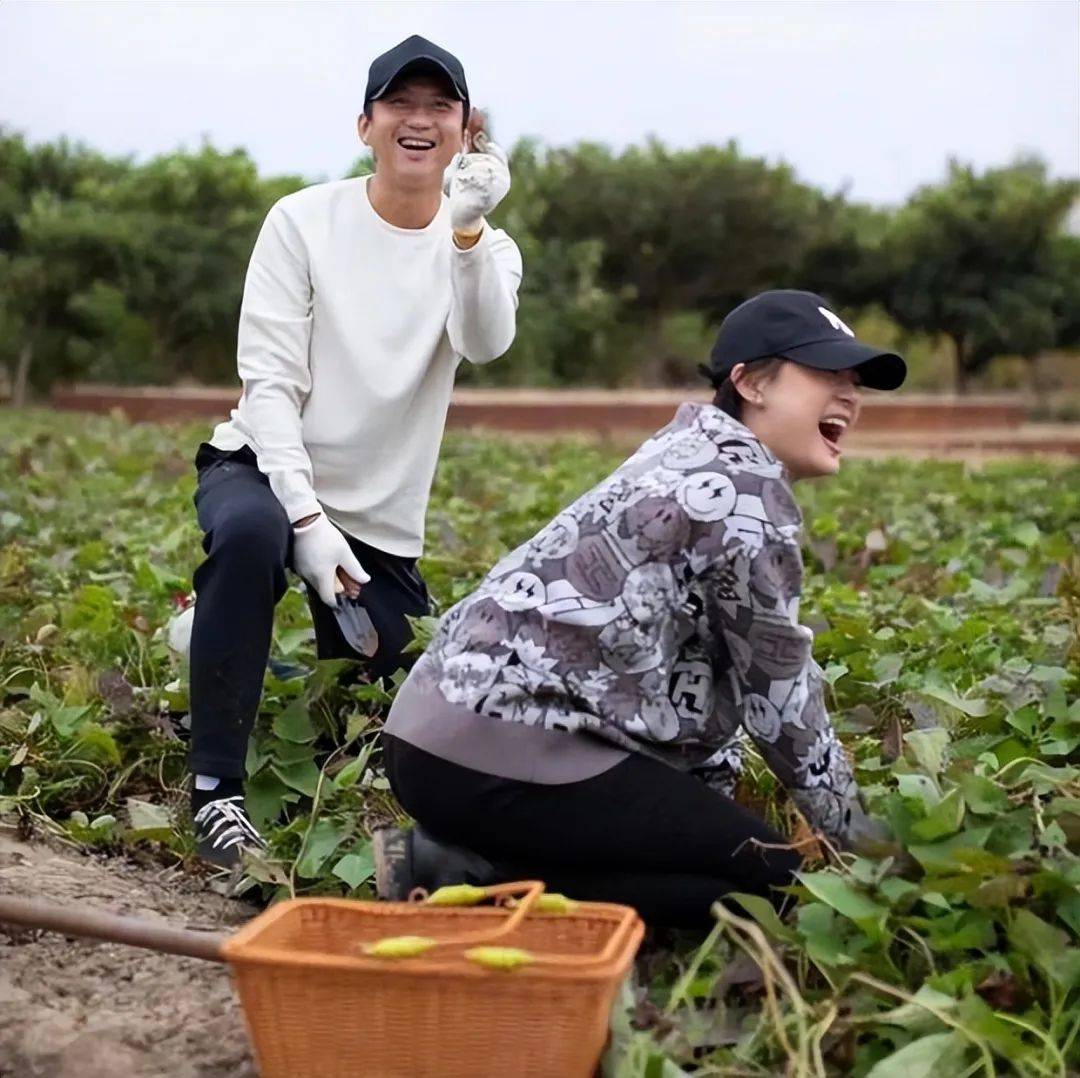孙俪的“豪宅”火了，粗茶淡饭，田里摘菜！深入自然，不为凡尘俗事所扰