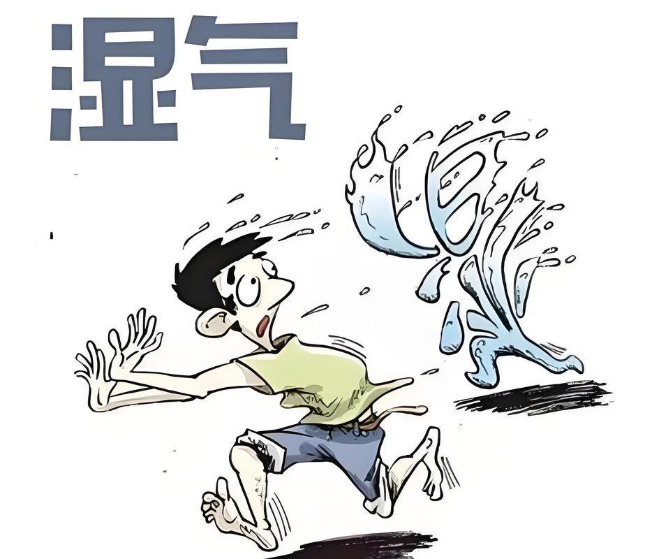 三伏天是祛湿黄金期！6 个实用妙招摆脱身体沉重，轻松过夏天