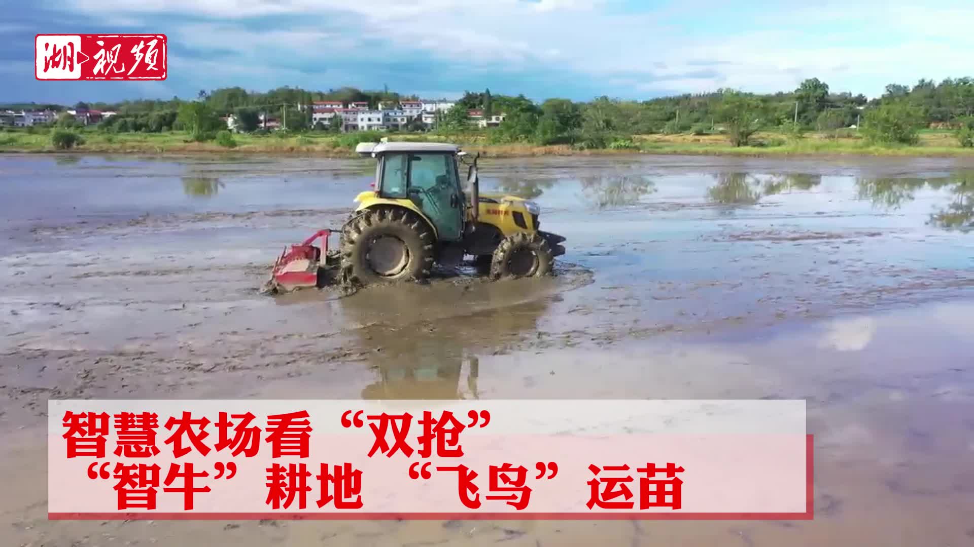 “智牛”耕地 ，“飞鸟”运苗！智慧农场“双抢”大片上演，超燃！