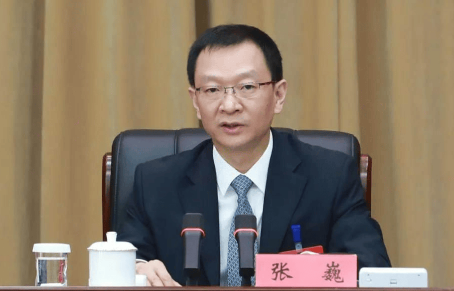 河南省委副书记张巍再添新职