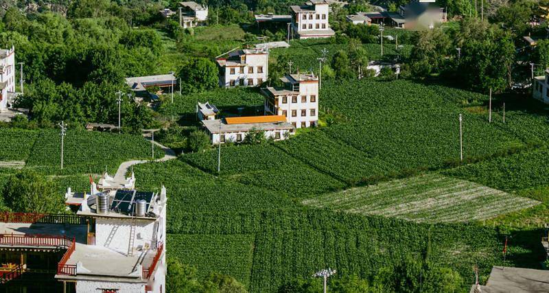 首档丁真漫游甘孜人文纪录片《寻真之地》今日官宣 7条线路探索甘孜18县（市）