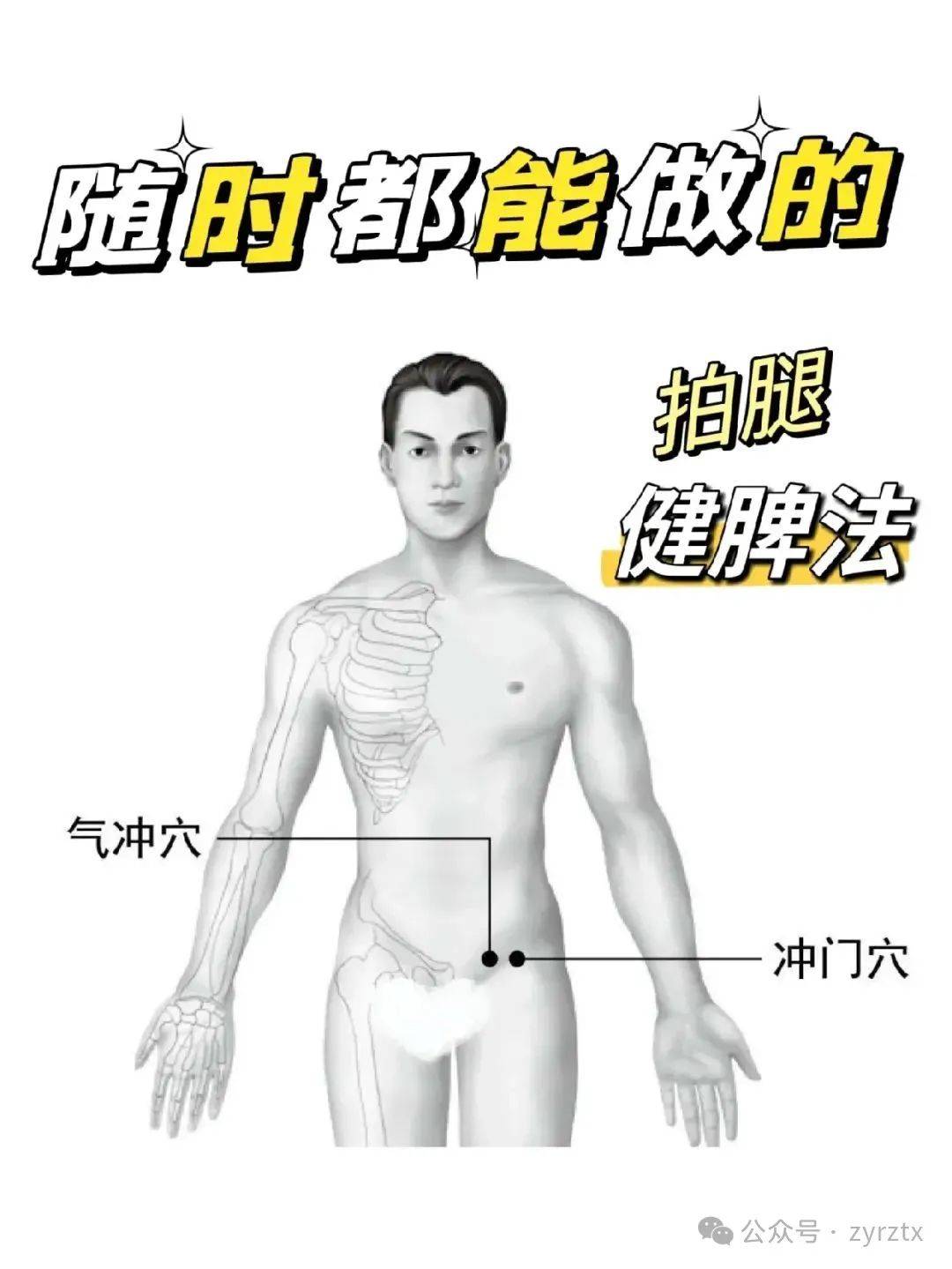 拍打腹股沟，胖子减肥 ，瘦人增重