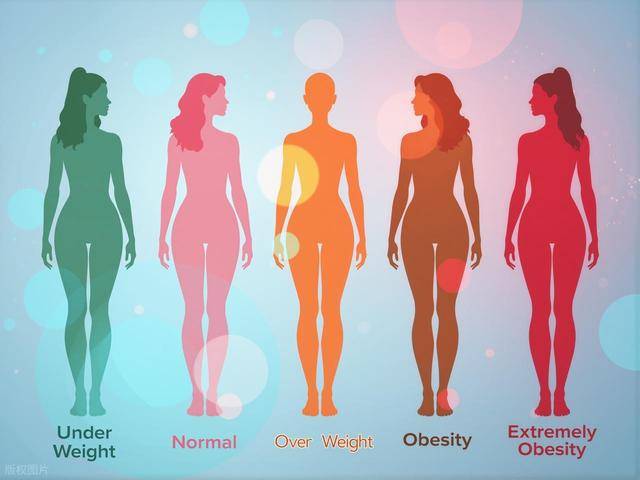 减肥，做到“3个坚持、3个禁止”，第二天轻松掉秤2-4斤