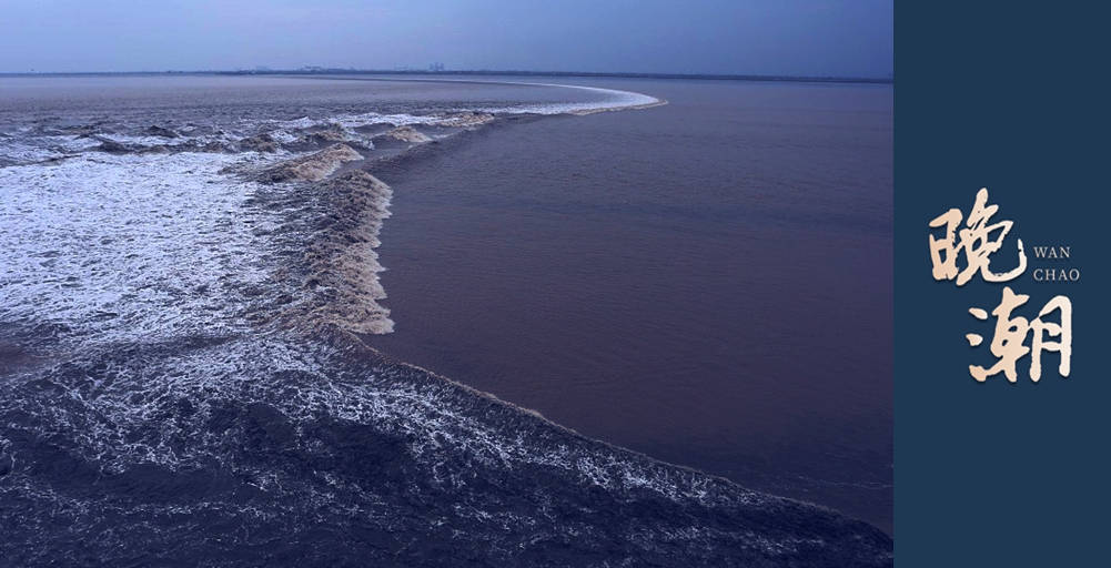 晚潮｜原来你也在这里之“陈慧娴杭州演唱会”