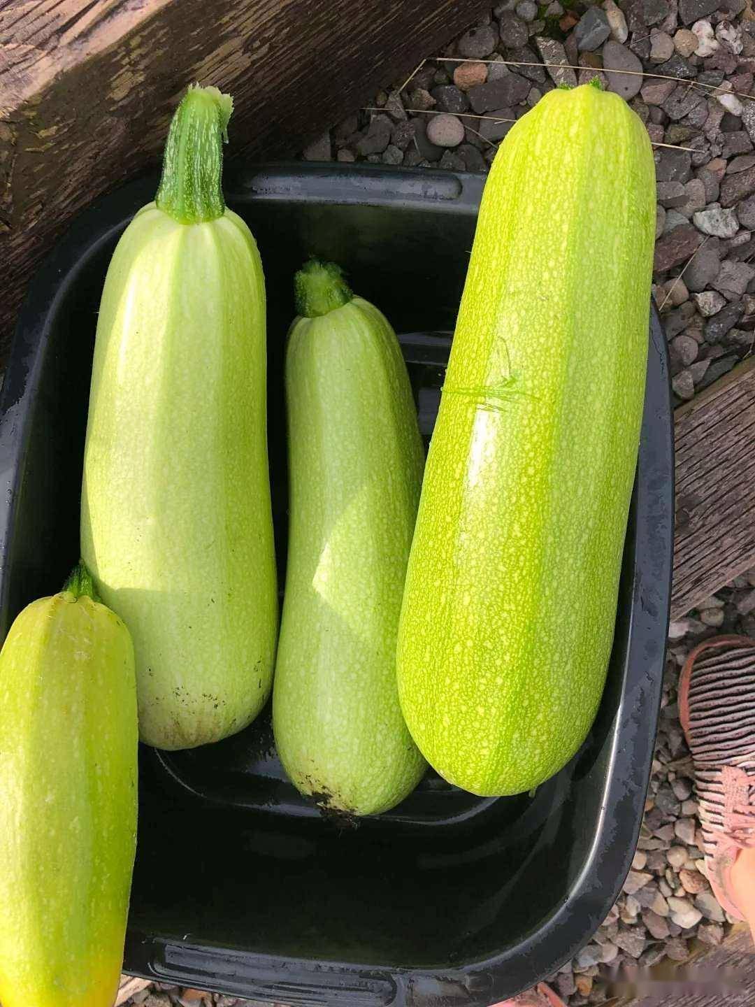 原创            女人夏天想“瘦得快”，这6种低卡菜要多吃，刮油减脂还饱腹