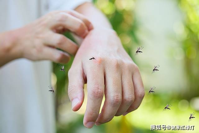 原创            为啥蚊子总爱咬你？这几类人要注意了