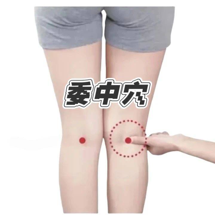 【节气·健康科普】清养避暑护心神，中医专病解痹痛