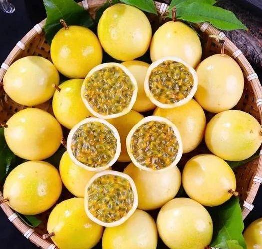 自制百香果酒的做法，教你如何轻松做出果香浓郁的美酒！