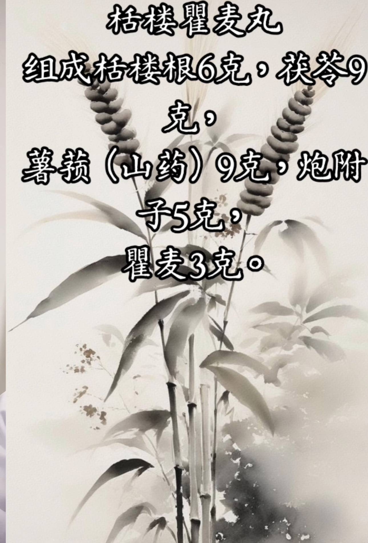 栝楼瞿麦丸 温阳化气 生津利尿