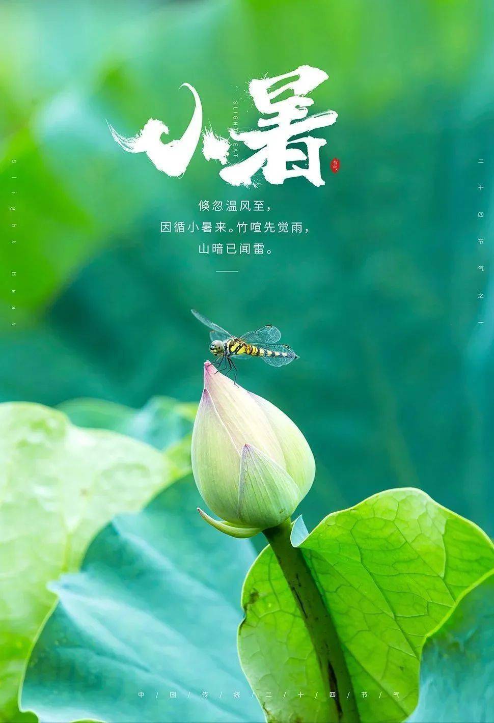 小暑三清：清静养心，清闲养身，清淡养生