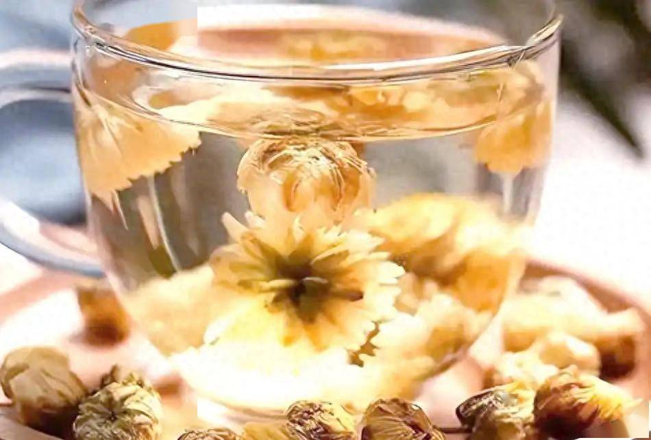 菊花茶成为关注焦点！医生发现：夏季喝菊花茶，或有这5大益处