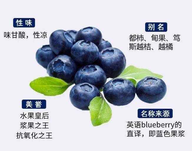 原创            多吃4种水果，抗氧化！抵抗自由基，保持年轻态