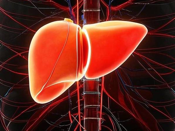 吕梁纤维肝硬度值范围是多少?正常标准看这里