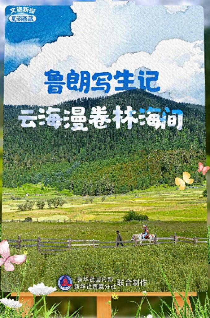 文旅新探·夏游西藏丨鲁朗写生记：云海漫卷林海间