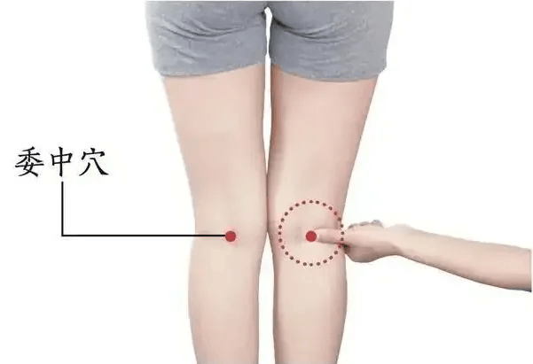 7月是祛湿的最佳时机！拍打这里49下，轻松摆脱粘人湿气！