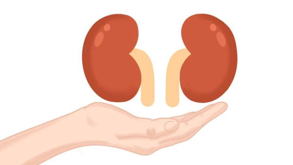 肾病患者若能在饮食上做好这几点，或能保护肾脏，远离尿毒症