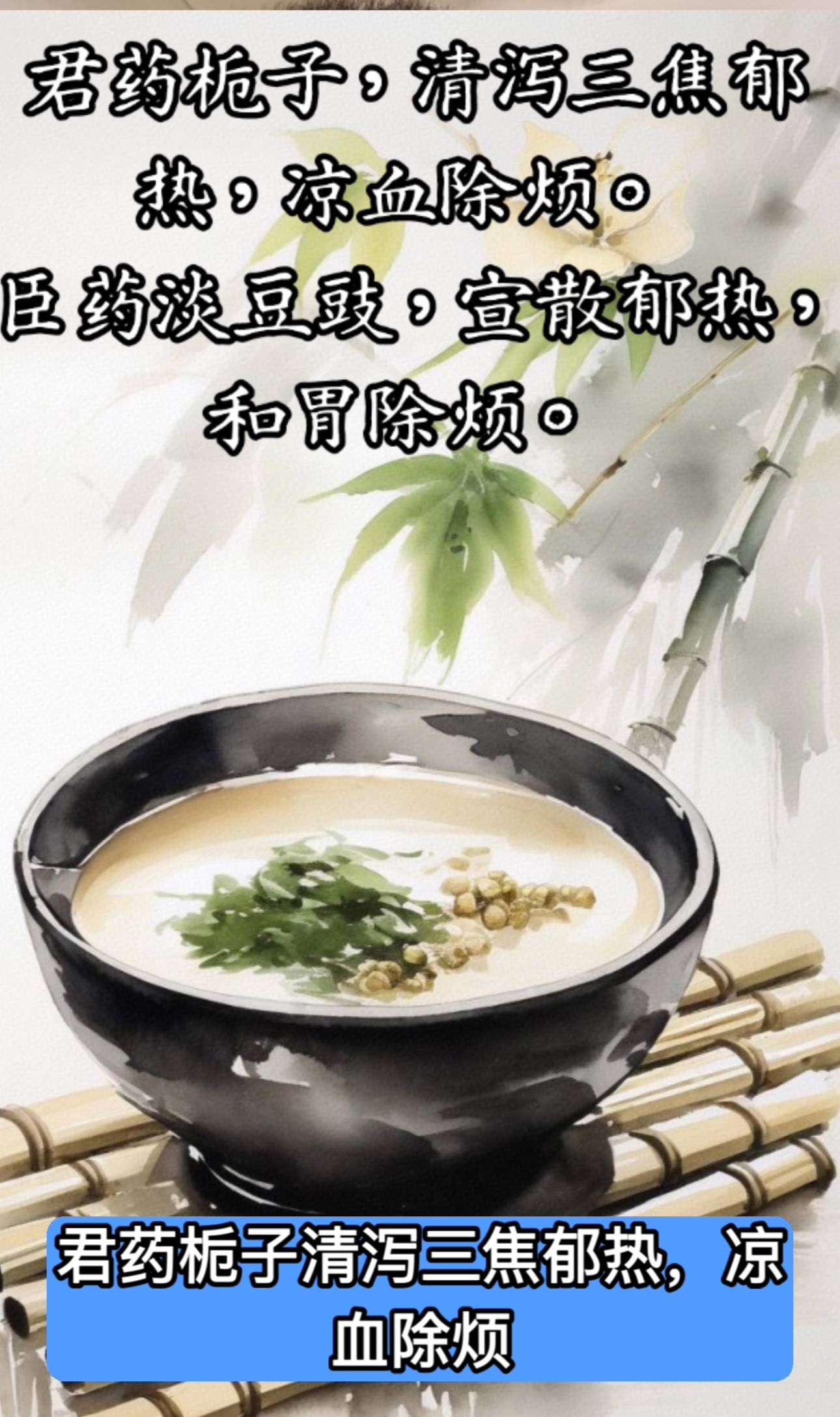 栀子豉汤 身热懊恼 虚烦不得眠