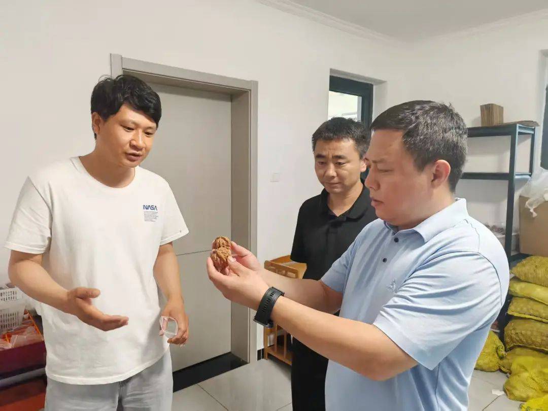 许家台镇文玩核桃直播正式上线！