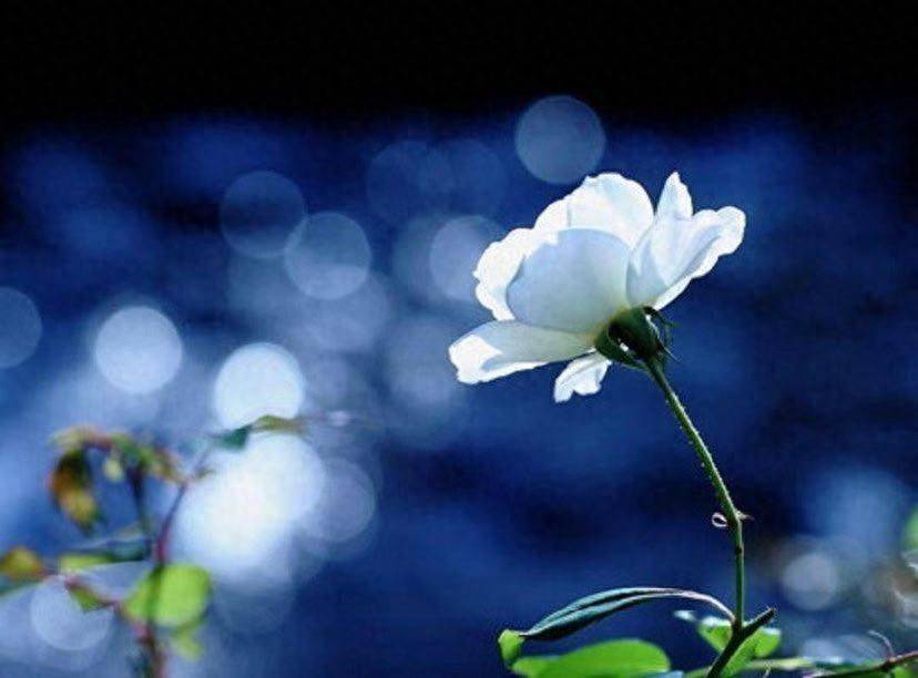 一个男人，除了“性”之外，真正认定你的明显表现：3次主动