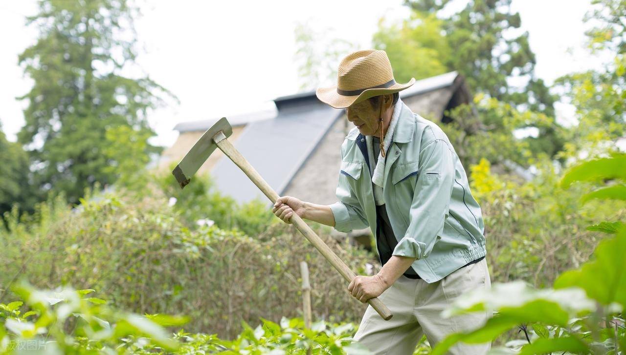 原创            “长寿不长寿，就看69岁”，69岁还能做到5件事，基本能活到96岁