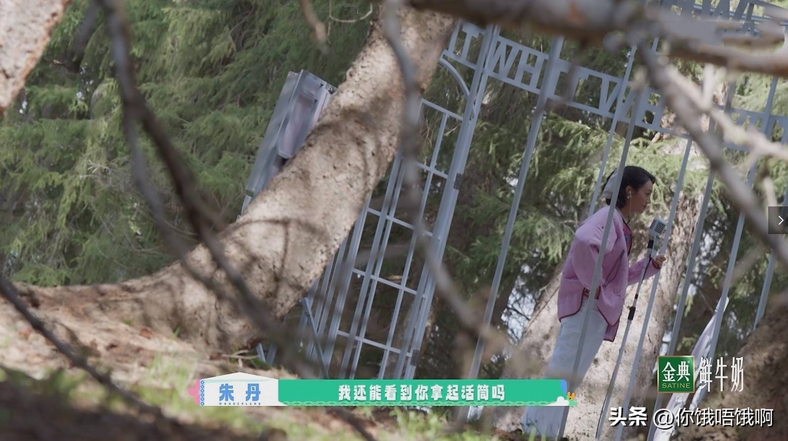 原创            桃花坞脱俗独特，朱丹适合世俗舞台，主线任务推动综艺发展