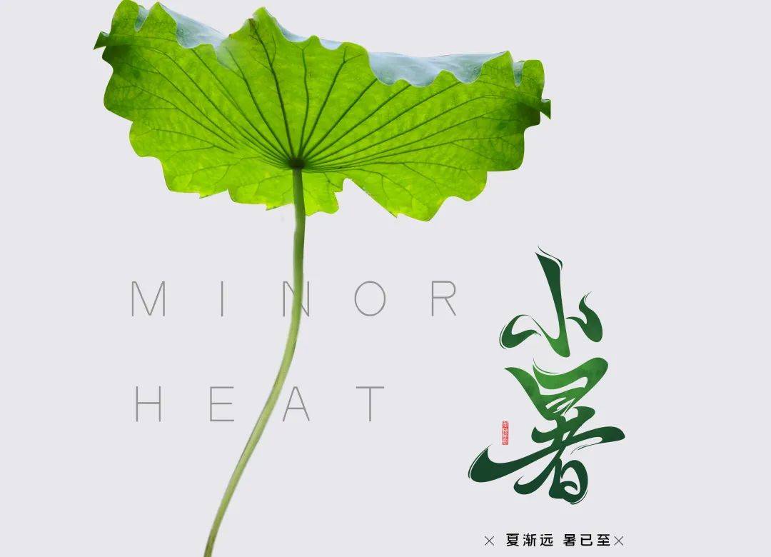 解锁小暑养生密码：三宜三忌，红曲添力护安康！