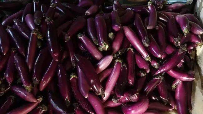 茄子大量上市，提醒：这两样东西，别和茄子一起吃