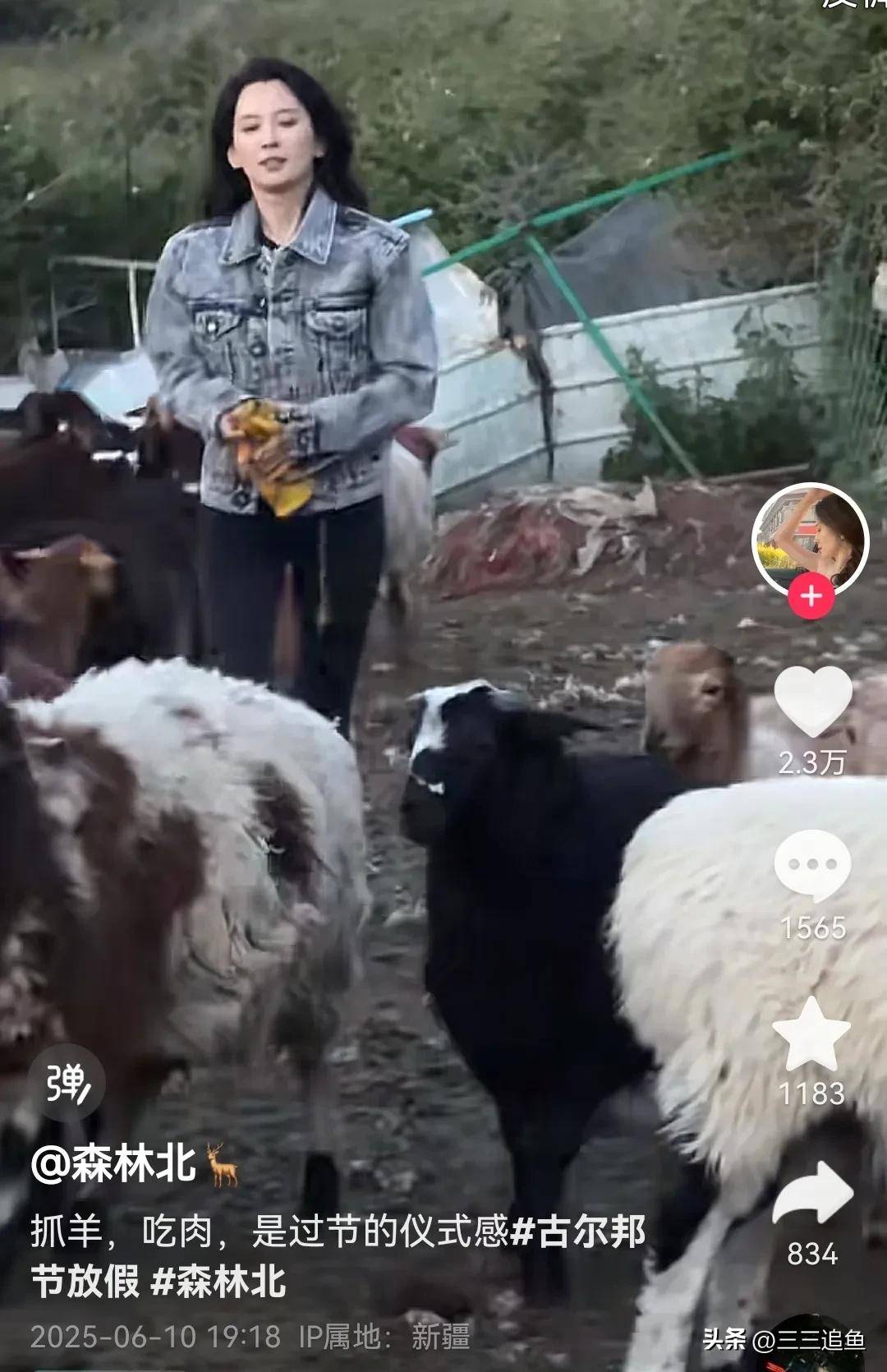 原创            汪峰强势护女友，用11个字回应恋情，ip地址在新疆和森林北在一起