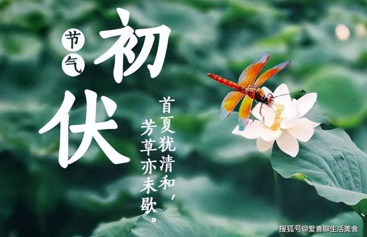 原创            明日初伏，建议：吃2肉，食3瓜，忌2味，伏天要懂忌嘴，全家安康！