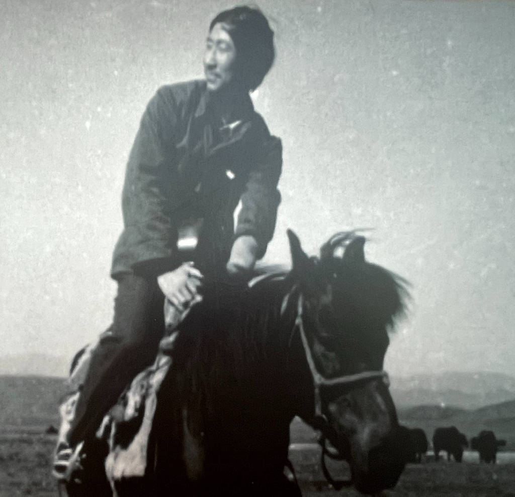 艺术人物｜杨晓阳：一位艺术家的四十年丝路行